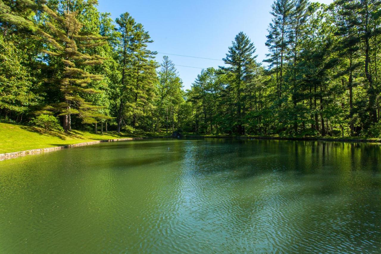 Villa Bull Creek Peaceful Escape à Asheville Extérieur photo